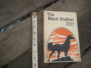 Vintage ** 1941 - THE BLACK STALLION *** Fine HC/DJ Book Walter Farley - Picture 1 of 3
