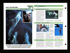 Carte d'information Save the Dolphin Wildlife conservation école à domicile 11,35