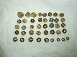 41 Real Deer Antler Buttons Vintage and Antique German #J - Picture 1 of 13