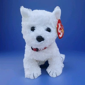 Ty Beanie Baby - DUNDEE the White Dog Born 9/19/04 Stuffed Animal Toy - Picture 1 of 8