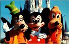 Postcard You're As Welcome As Can Be Walt Disney World Mickey Pluto Goofy