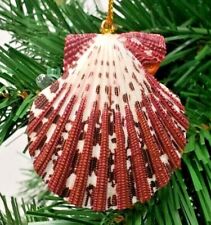 Scallop Shell Christmas Ornament 3" Slavic Treasures Seashell