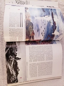 Debbie Macomber's Dashing Through The Snow  DVD  **DISC ONLY** Hallmark - Bild 1 von 1