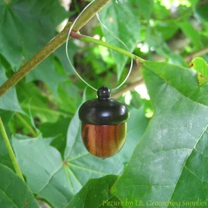 Fake Acorn Geocache Container - Imagen 1 de 6