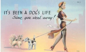 Tichnor Pin Up biondo in calze cane da passeggio è stata la vita di un cane 1950 - Foto 1 di 2