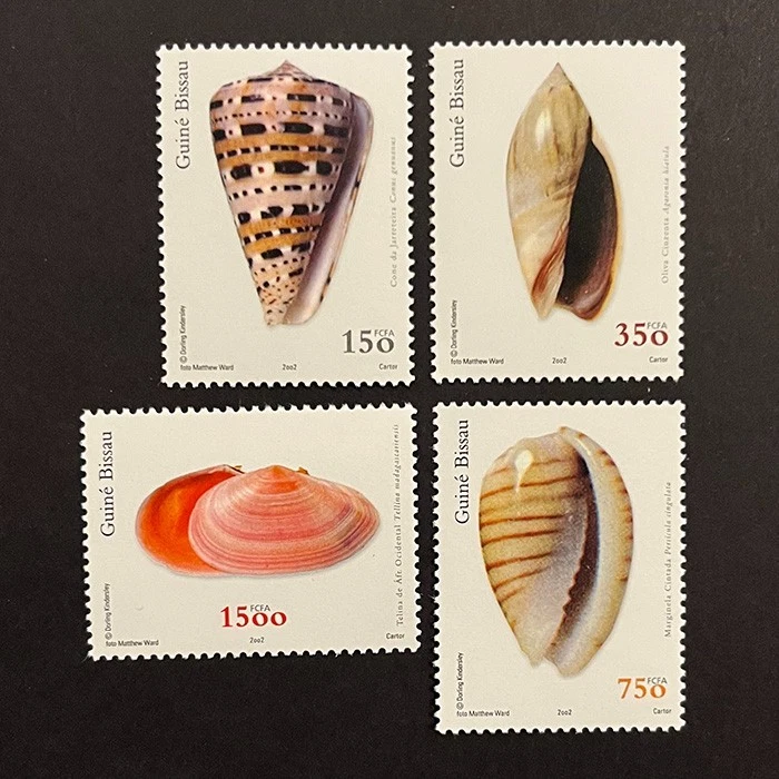 Guinea Bissau 2002 complete set MNH ** shells - image 1 of 1