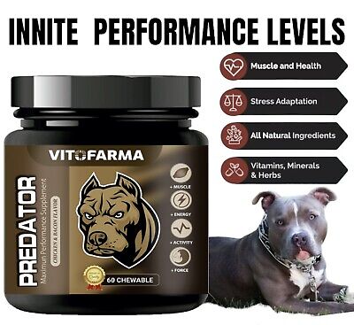 Predator 60 Chew Muscle Builder For Dogs | Canine Nutricional Supplement For Dog • 23.99$