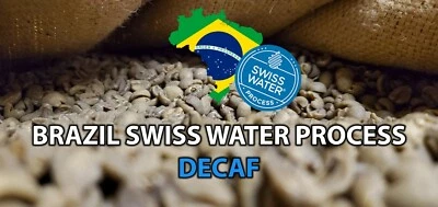 VILAR IMPORTS 5 LB BRAZIL SWP SWISS WATER PROCESS UNROASTED GREEN COFFEE BEANS - ARABICA DECAF