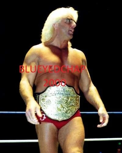 RIC FLAIR WRESTLER 8 X 10 WRESTLING PHOTO NWA WCW WWF - Image 1 of 1