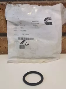 Cummins Seal O-ring 3901836, Qty 6 - Foto 1 di 2