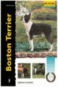 Boston terrier (Excellence-Raza especial), Alma Bettencourt - Bild 1 von 1