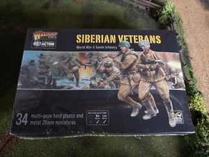 Bolt Action - Soviet Siberian Veterans - Picture 1 of 1