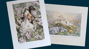 Trevor Waugh Aquarell Enten, Limited Edition Prints, Lot of 2 Pictures - Bild 1 von 10