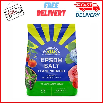 Fertilizante para alimentos vegetales con sal Pennington Epsom, 7 lb Foto 1 de 4