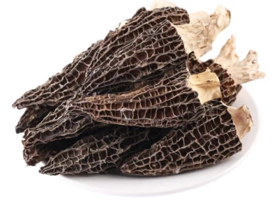 2025 Morel Morchella Mushrooms!! 1/2 Pound (227 grams); Canadian Top grade - Image 1 of 4