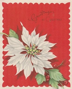 Vintage Weihnachtskarte weißer Weihnachtsstern roter Hintergrund Grinnell Kunstverlag - Bild 1 von 3