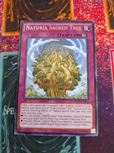Yu-Gi-Oh! TCG Naturia Sacred Tree NECH-EN076 Rare Unlimited Near Mint - Picture 1 of 4