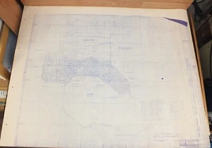 Planos de paisaje/árboles Walt Disney World Fantasyland 20.000 leguas - Imagen 1 de 9