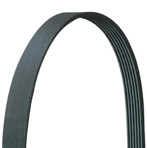 Dayco Drive Rite 5060870DR Automotive V Ribbed Serpentine Belt - Foto 1 di 2