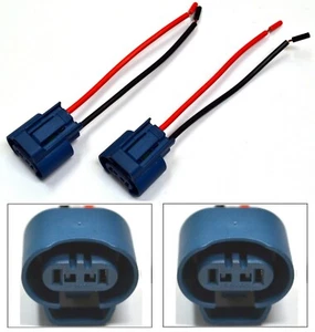 Draht Zopf Buchse U H10 9145 Nebel Licht Zwei Gurt Birne Stecker Für Reparatur - Bild 1 von 6