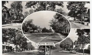 Kent; Pett's Wood Multiview RP PPC By J Salmon, Unused, c 1950's, Great Thrift - Picture 1 of 2