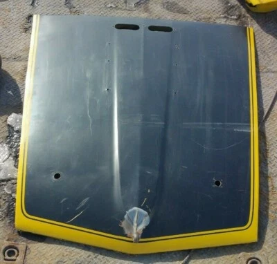 Capó 1969 68 1970 70 Mustang Ford Mach I techo deportivo cupé Foto 1 de 4