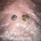 Real 4 Four Leaf Clover Good Luck Charm Wedding Favour Dry Pressed  laminated 11