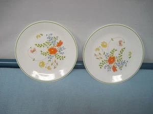 2 Corelle Spring Bouquet Wildblumen Essteller 10 1/4", mit grünem Rand - Bild 1 von 6