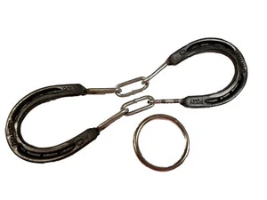 Hufeisen Brainteaser Puzzle - Bild 1 von 2