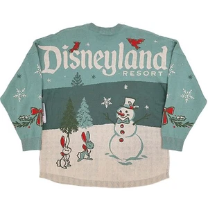 Disneyland Resort Holiday Xmas Spirit Jersey Green Knit Adult Disney Top S Small - Picture 1 of 17