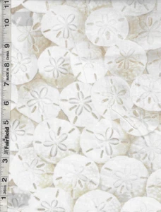 Beach Day Sand Dollars by Timeless Treasures bty - Picture 1 of 1