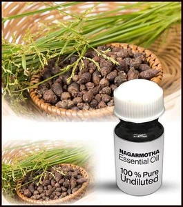 Nagarmotha ätherisches Öl 100 % rein unverdünnt (10ML-500ML) - Bild 1 von 1