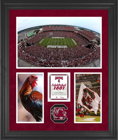 South Carolina Gamecocks Williams-Brice Stadium Framed 20x24 3-Opening Collage Cover