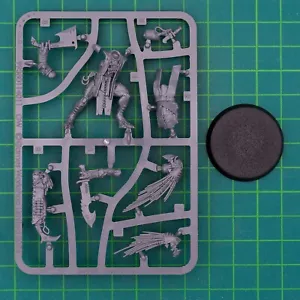 T' Au Empire Kroot Fleischformer #16079 Warhammer 40,000 Games Workshop - Picture 1 of 6