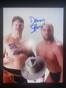 FIRMADO STAN HANSEN & DANNY SPIVEY 8x10! AJPW TAG CHAMPS! WCW! WWF! LUCHA LIBRE - Imagen 1 de 1