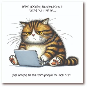 Get Well Soon Card - Googling Symptoms Cats - Funny Rude Humour - BW0061 - Picture 1 of 1