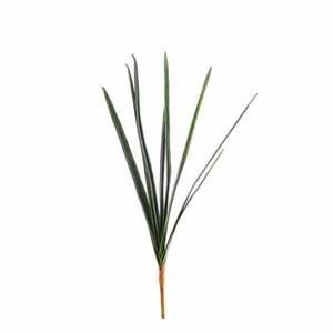 Artificial Orchid Leaves Bundle 71cm/28 Inches Dark Green - Bild 1 von 1
