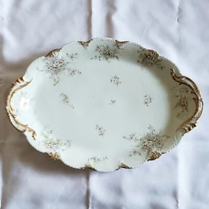 19.5" Theodore Haviland Limoges Porcelaine Pink Floral Blossom Serving Platter - Picture 1 of 14