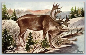 CARIBOU Newfoundland Canada art HARVEY antlers lake VINTAGE c1965 Postcard A51 - Picture 1 of 2