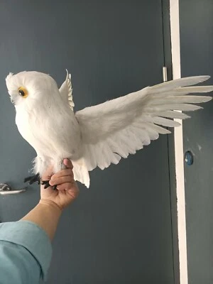 big simulation white owl model foam&feather wings owl toy gift about 30x60cm - Image 1 of 4