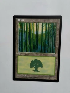 1 x MTG S-Chinese Portal Basid Land (Forest 214s)---N/M - Picture 1 of 1