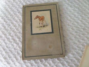 The Red Pony 1945 John Steinbeck & Wesley Dennis Illustrations HB - Picture 1 of 7