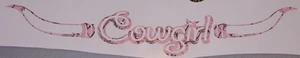 Calcomanía de camuflaje rosa vaquera - Imagen 1 de 1