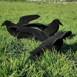Flocked Take-Off Pose Decoy Crow Triple Pack - Realistic Looking Lightweight