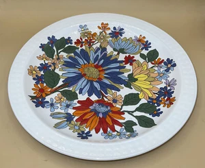 Pontesa Ironstone The Young Range Fiesta Dinner Plate Made In Spain VHTF - Picture 1 of 6