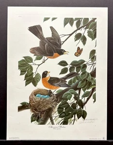 John A. Ruthven Limited Edition Signed Print “American Robins” 1971 - Picture 1 of 4