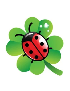 TRANSFER STAMP MAGLIETTA T-SHIRT COCCINELLA QUADRIFOGLI - Picture 1 of 1