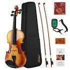 4/4 Violin Set Full Size Fiddle Solidwood For Adults With Hard 4/4 Two Bows