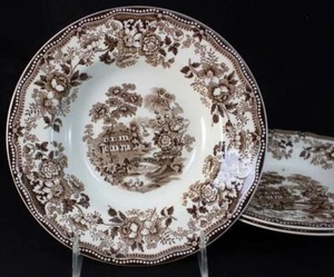 Royal Staffordshire TONQUIN BROWN MULTICOLOR 3 Rim Soup Bowls GREAT CONDITION - Picture 1 of 6