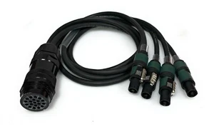 DG Systems - spider Socapex F a 4 speakon NL4 / 4x cavi 4x2.5mmq Made in Italy - Picture 1 of 2
